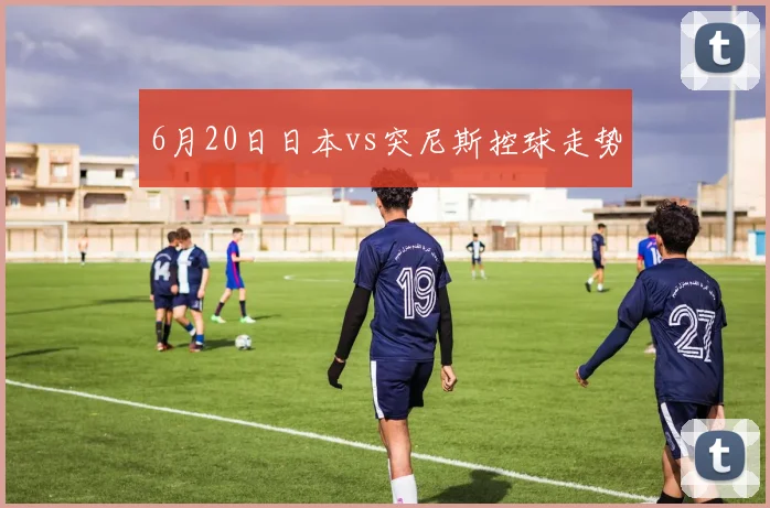 6月20日日本vs突尼斯控球走势
