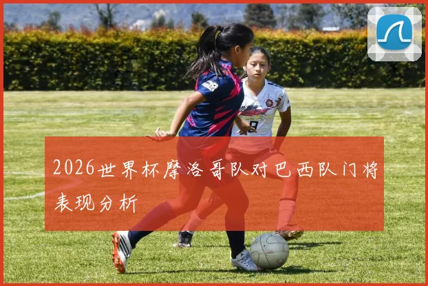 2026世界杯摩洛哥队对巴西队门将表现分析