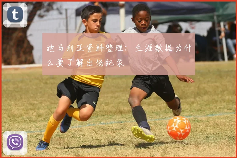 迪马利亚资料整理：生涯数据为什么要了解出场纪录