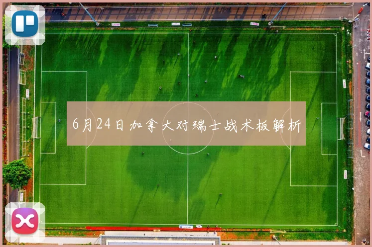 6月24日加拿大对瑞士战术板解析