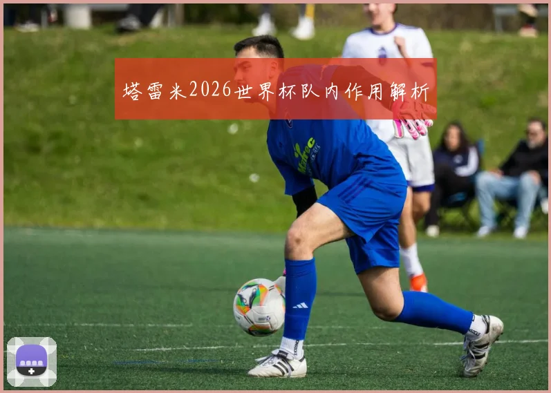 塔雷米2026世界杯队内作用解析