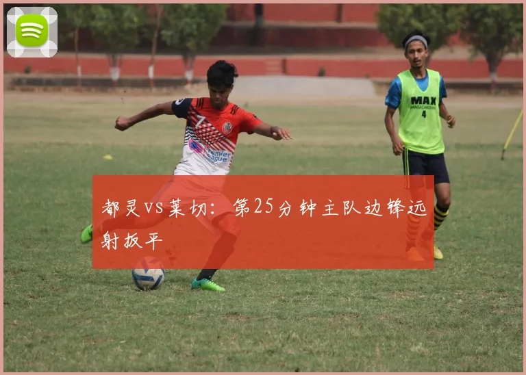 都灵vs莱切：第25分钟主队边锋远射扳平